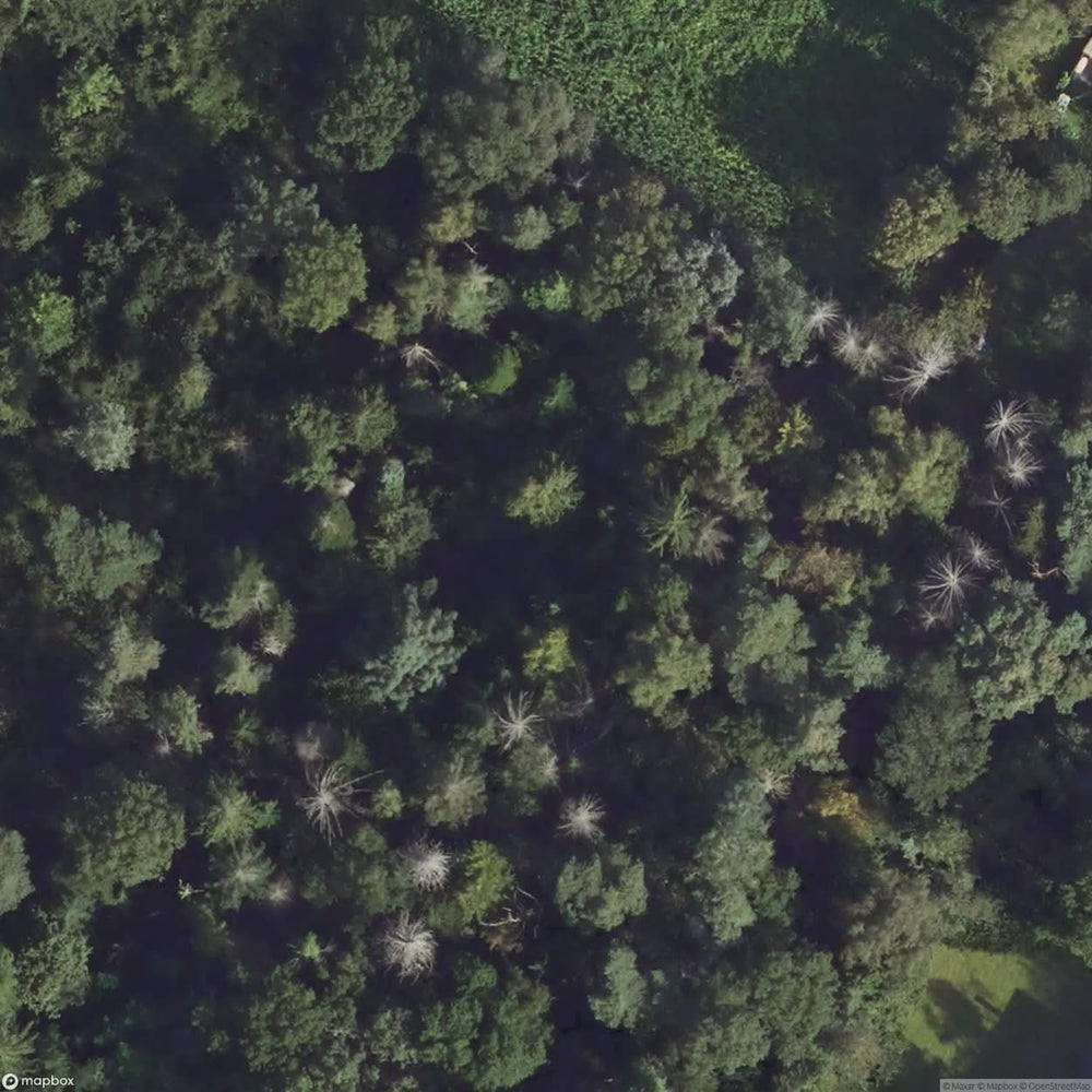 Forest Hut [GER] #14045