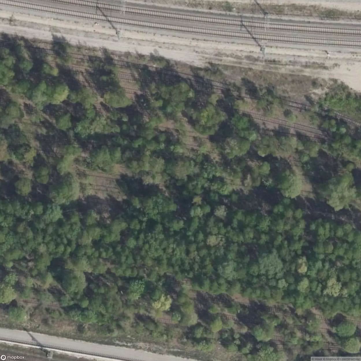 Cardboard Factory Demolished March [GER] #30649