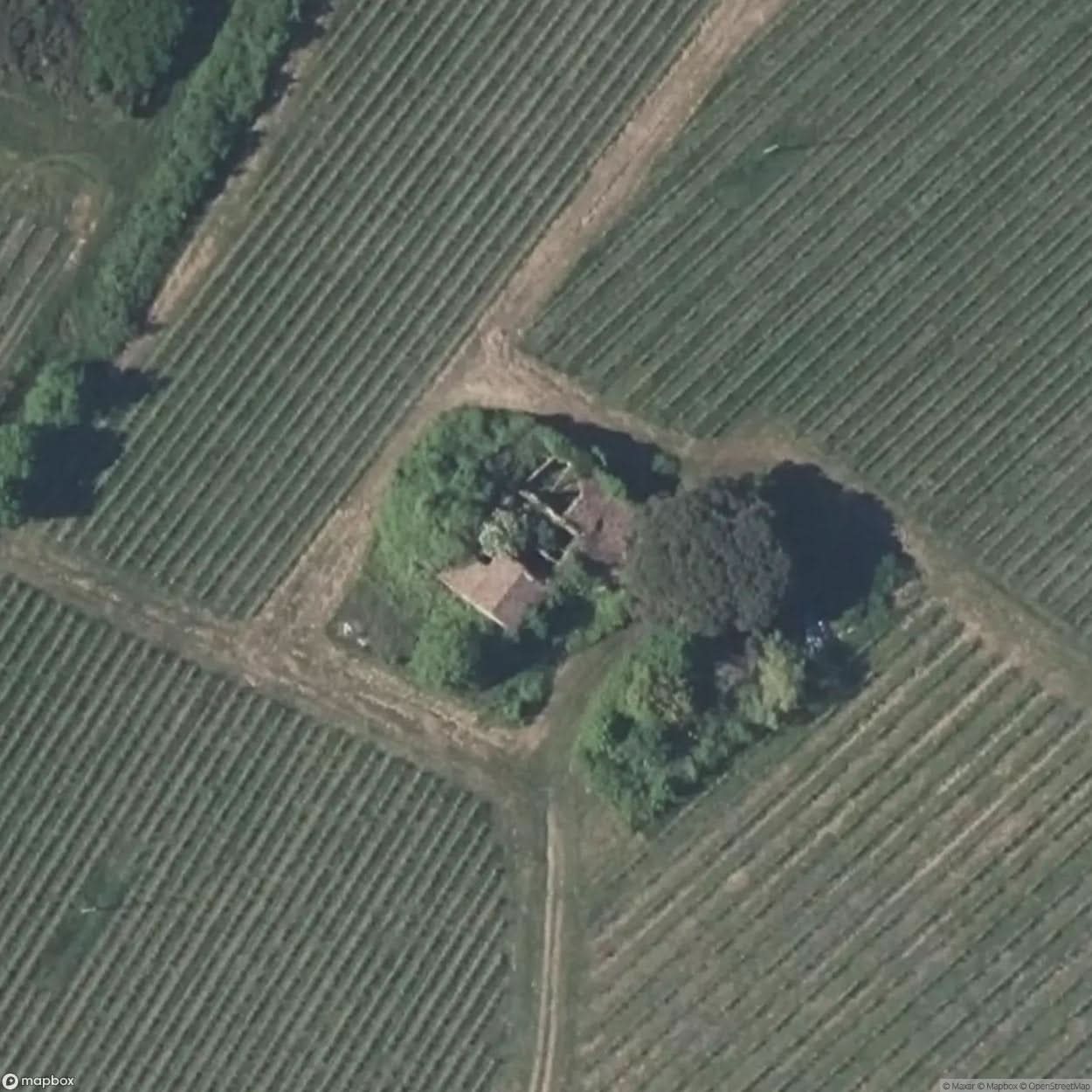 House Vegetation [FRA] #19659