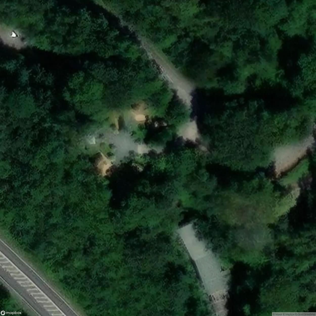 Tunnel Tree Tops Ltd Charmouth [GBR] #12088