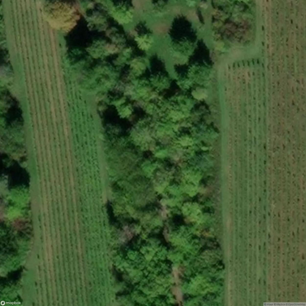 Military Station [GER] #17597