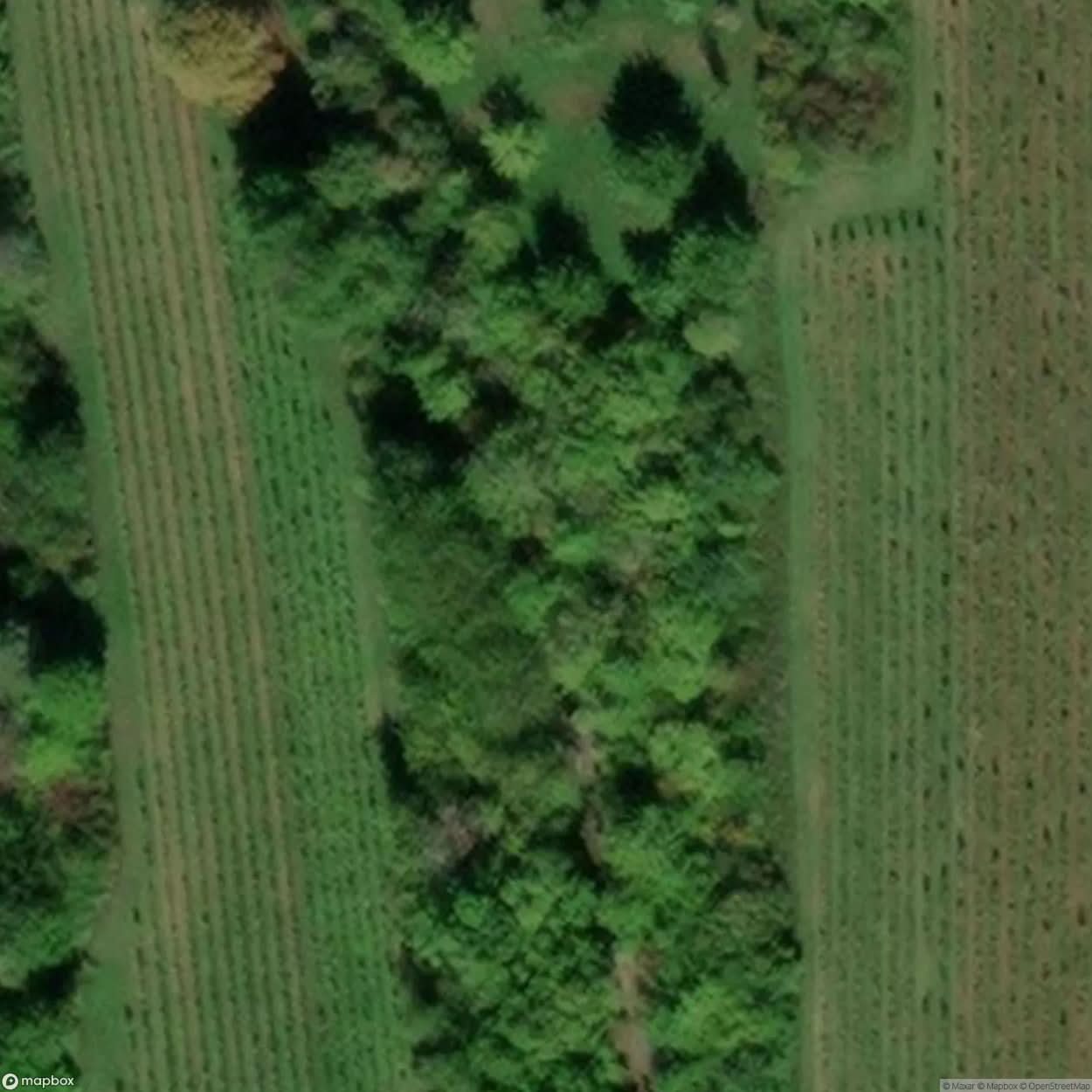 Military Station [GER] #17597