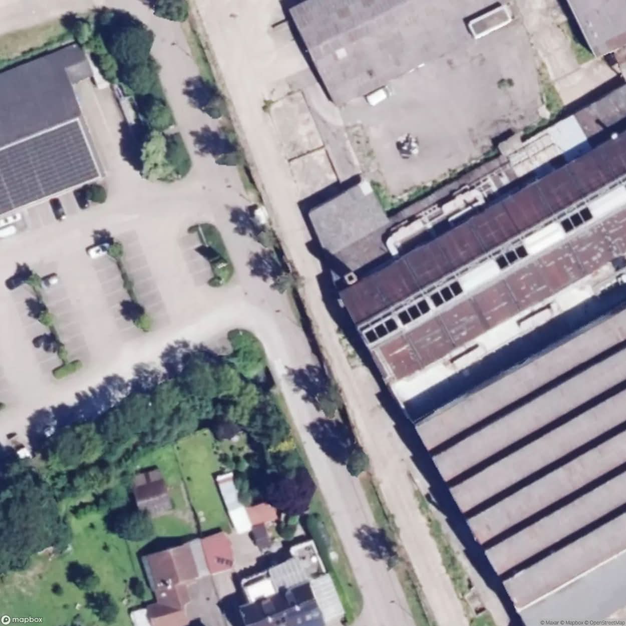 Plant Salzach [GER] #06221