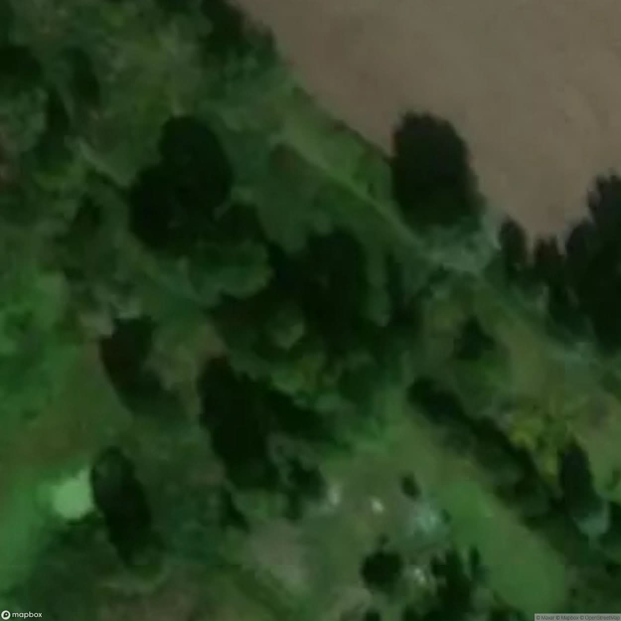 Fiszewo Site [POL] #33222