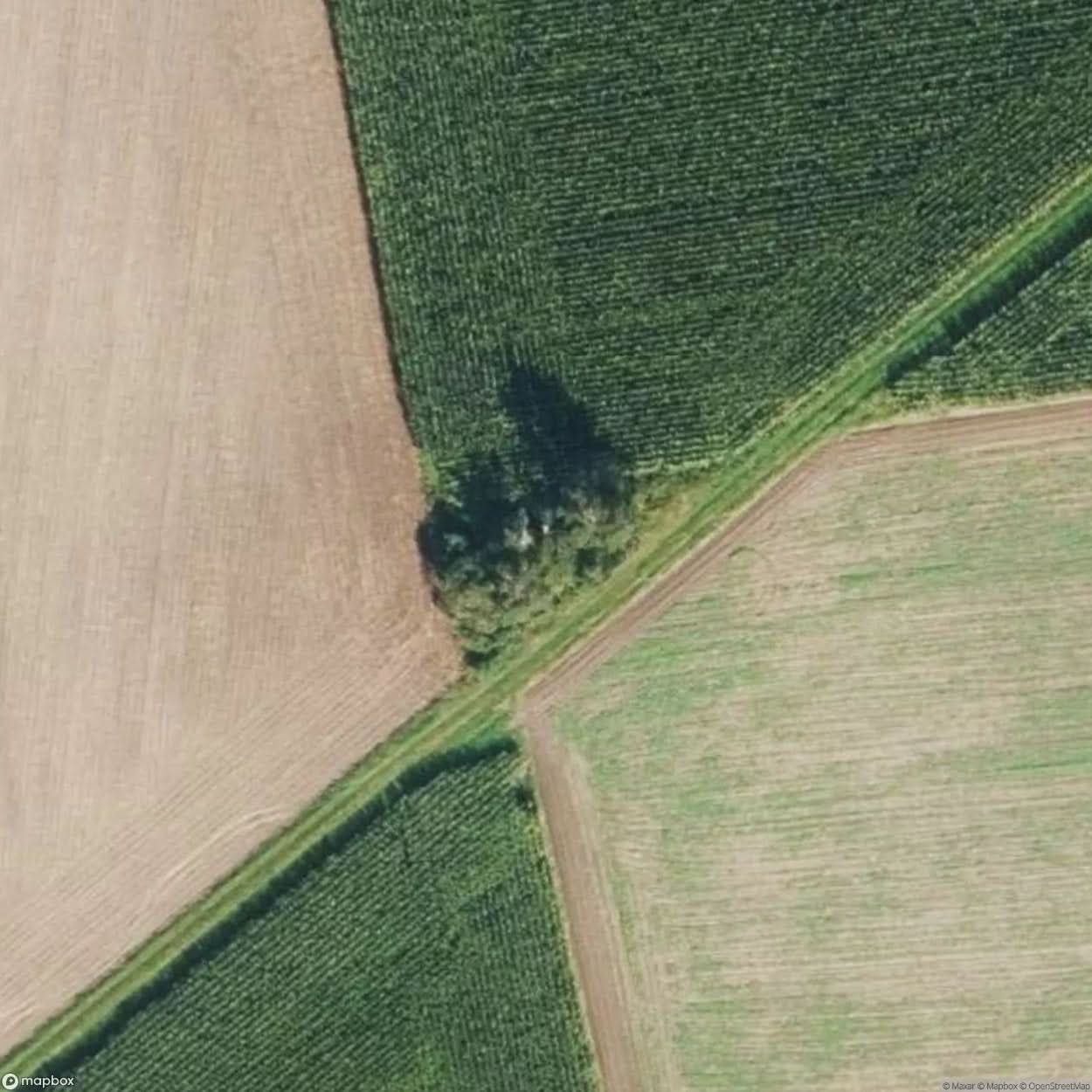 Restaurant With Brothel [DEU] #07744