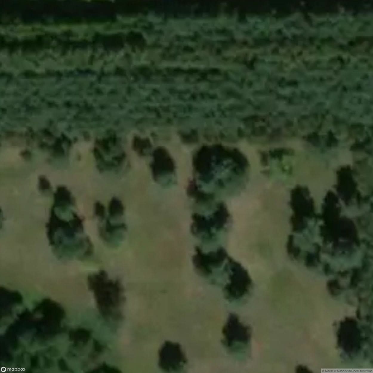 Historic Cemetery Sidra [POL] #35810