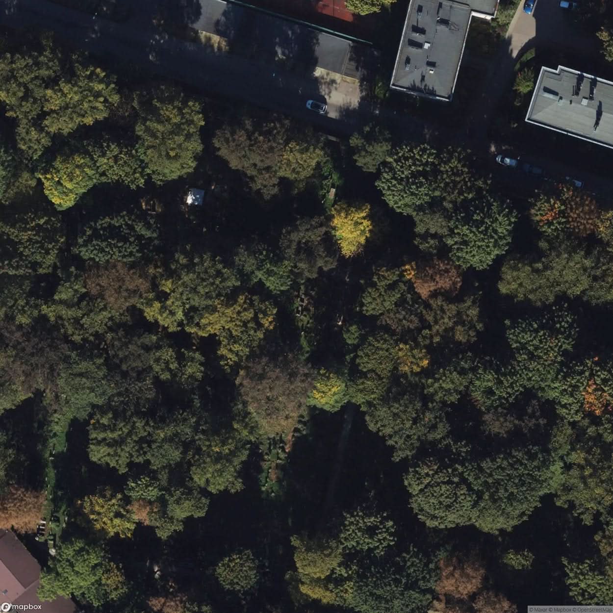 Historic Cemetery Old Jewish Cemetery In Krakow [POL] #35858