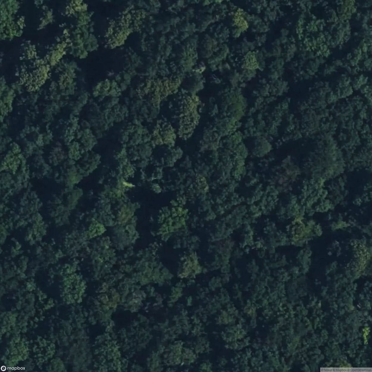 Knowle Wood Mine [GBR] #05921