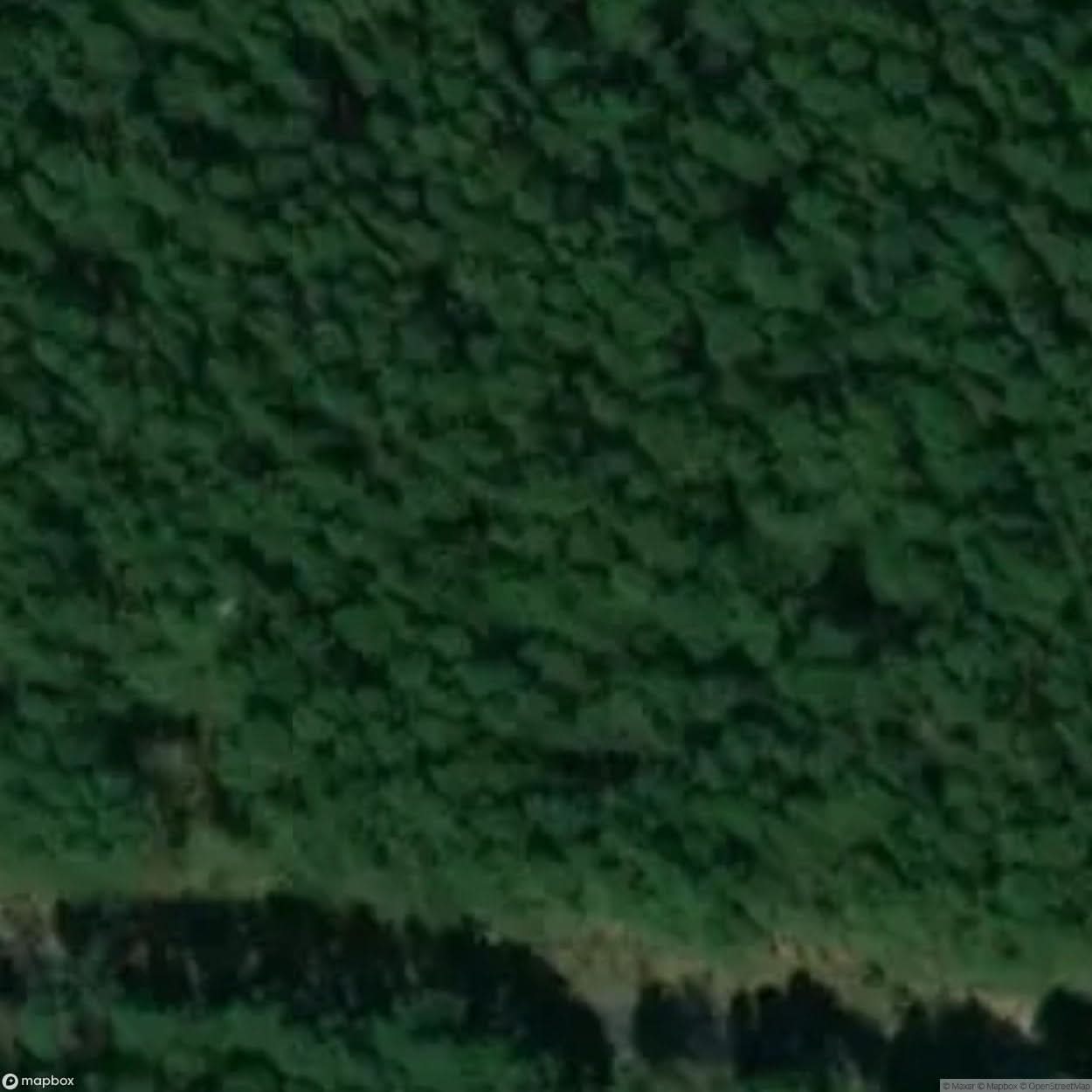 Koscian Site [POL] #32762
