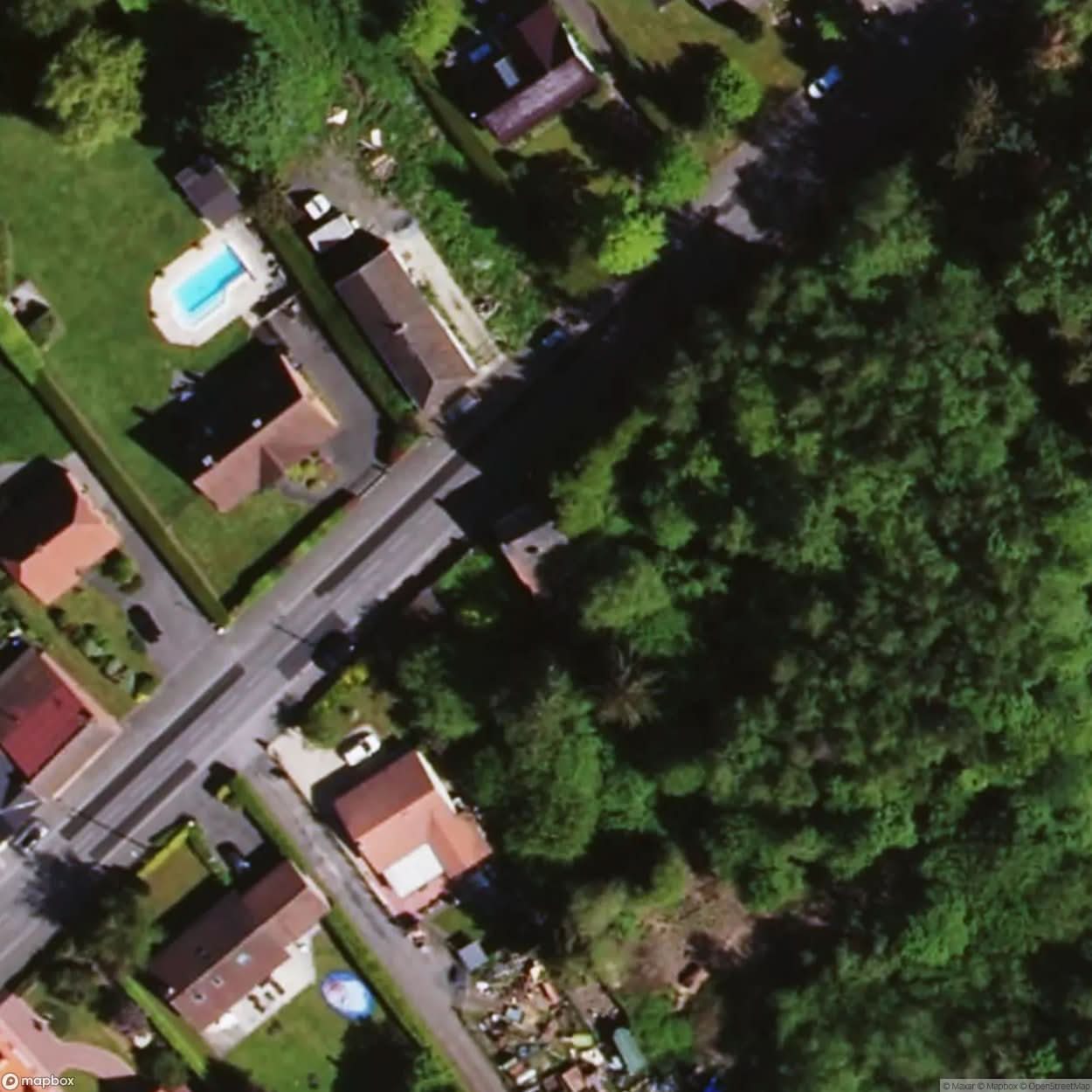 Manor Pleyel Pinkie Manor [FRA] #01344