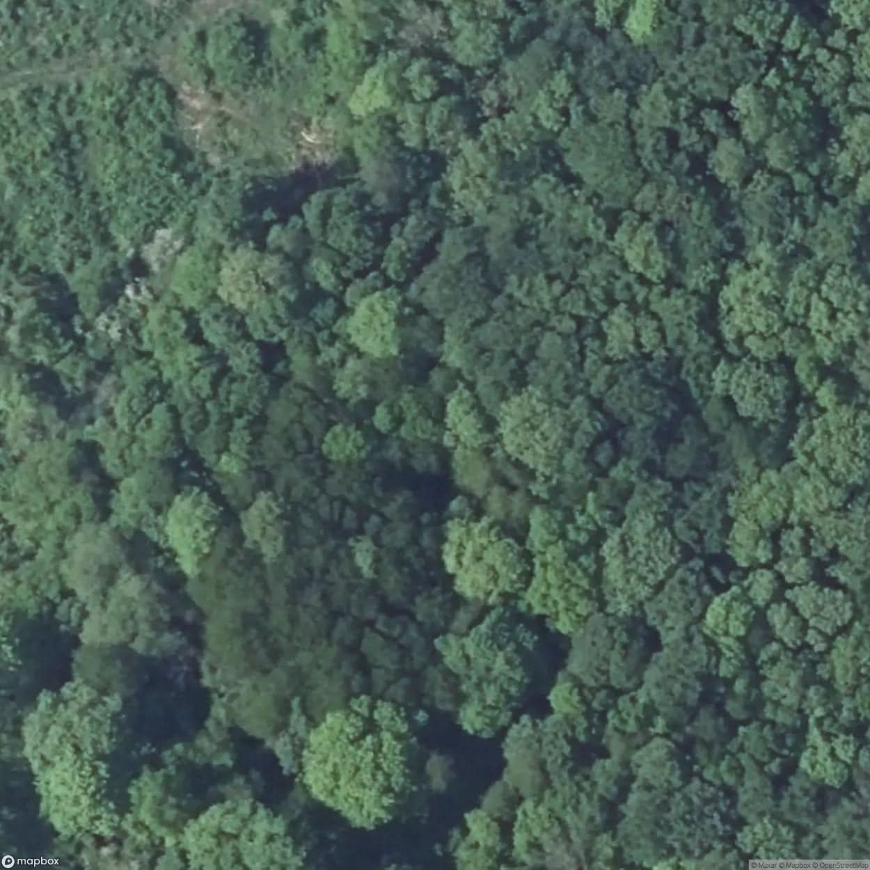 Infantry Bunker N S A Vrcha [FRA] #16941