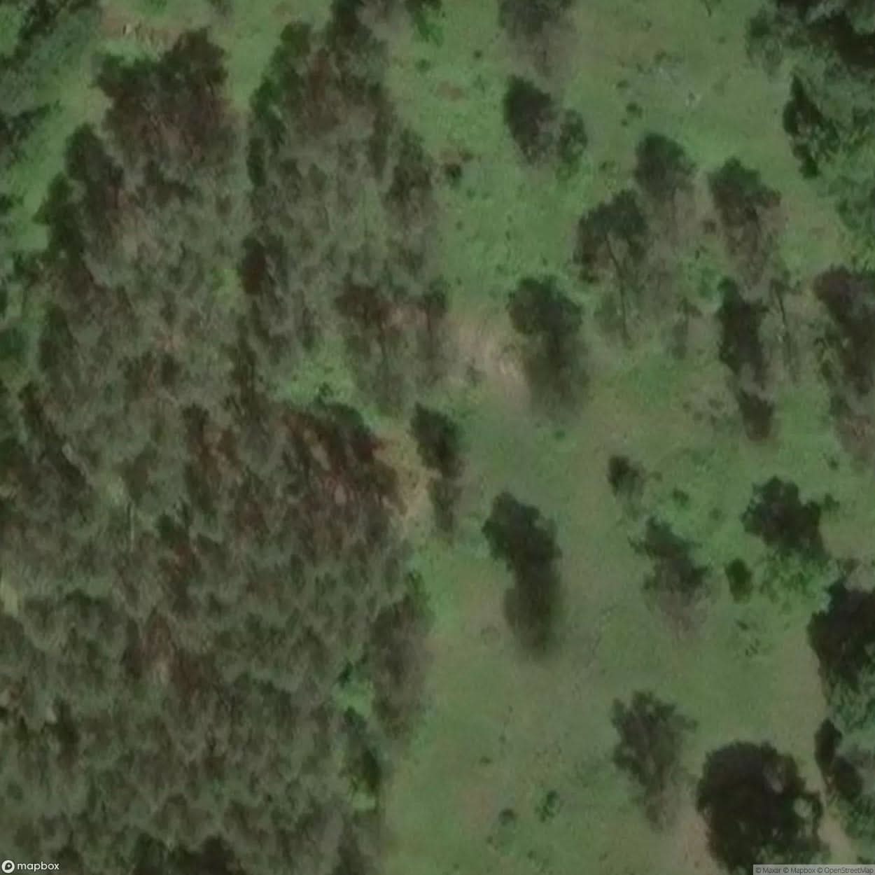 Hitler's Stadium Hill [DEU] #08116