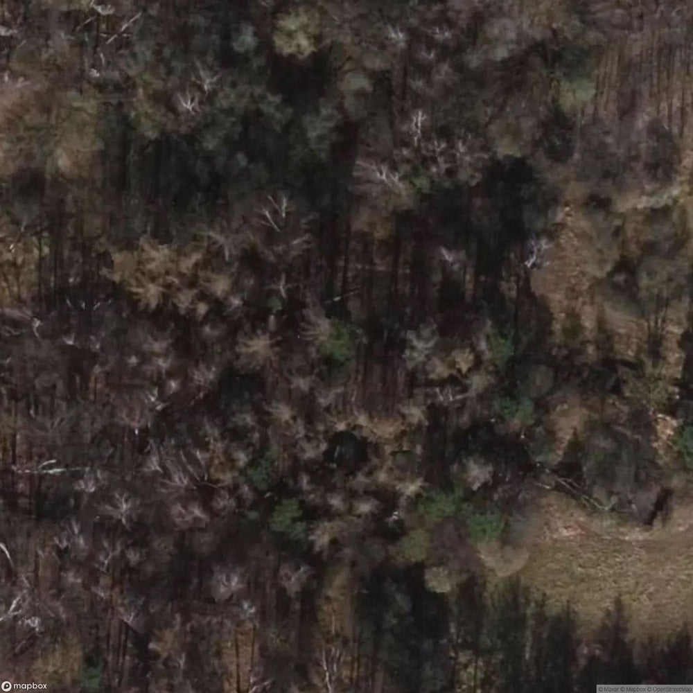 Bunker Forest [GER] #17359
