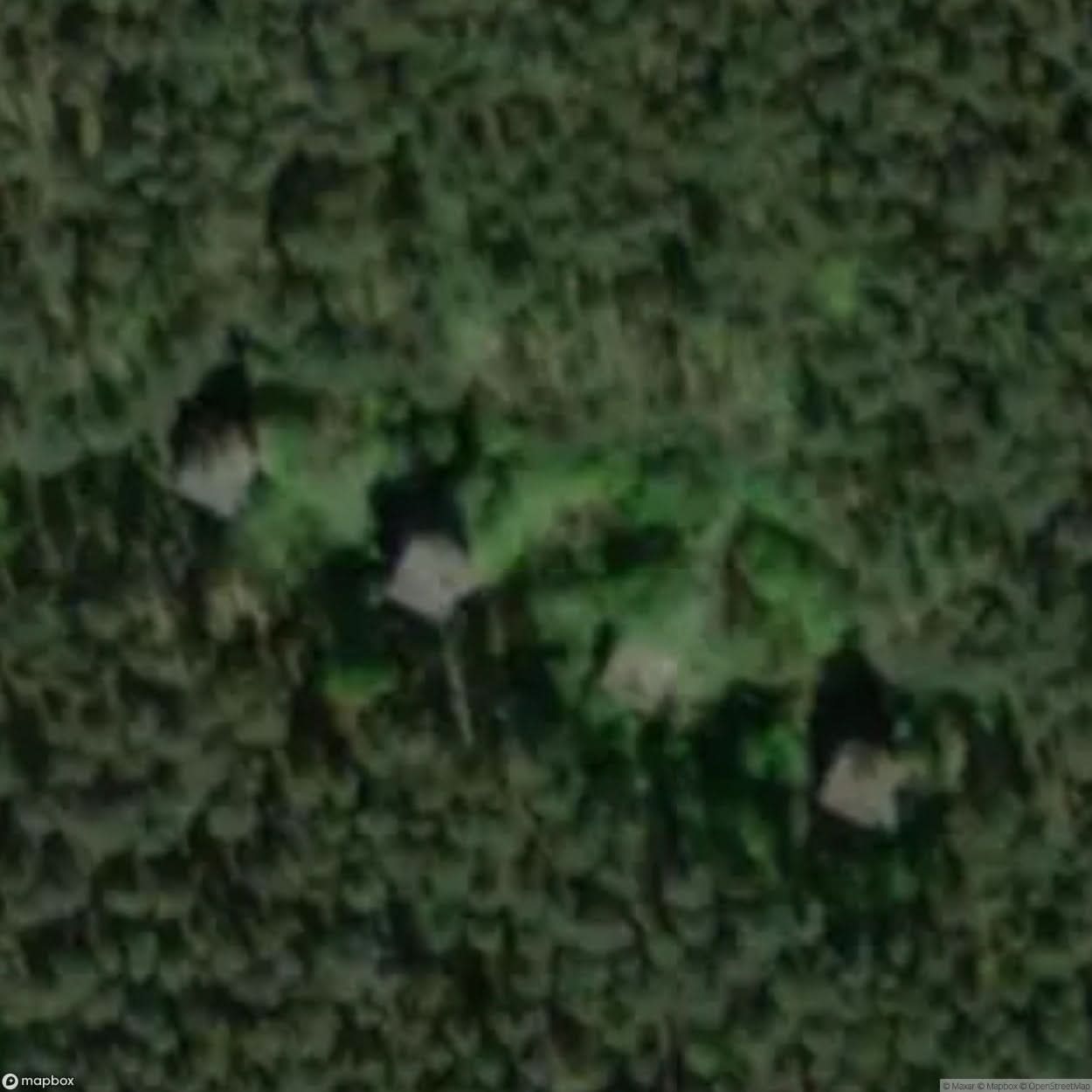 House In The Woods [GER] #00793