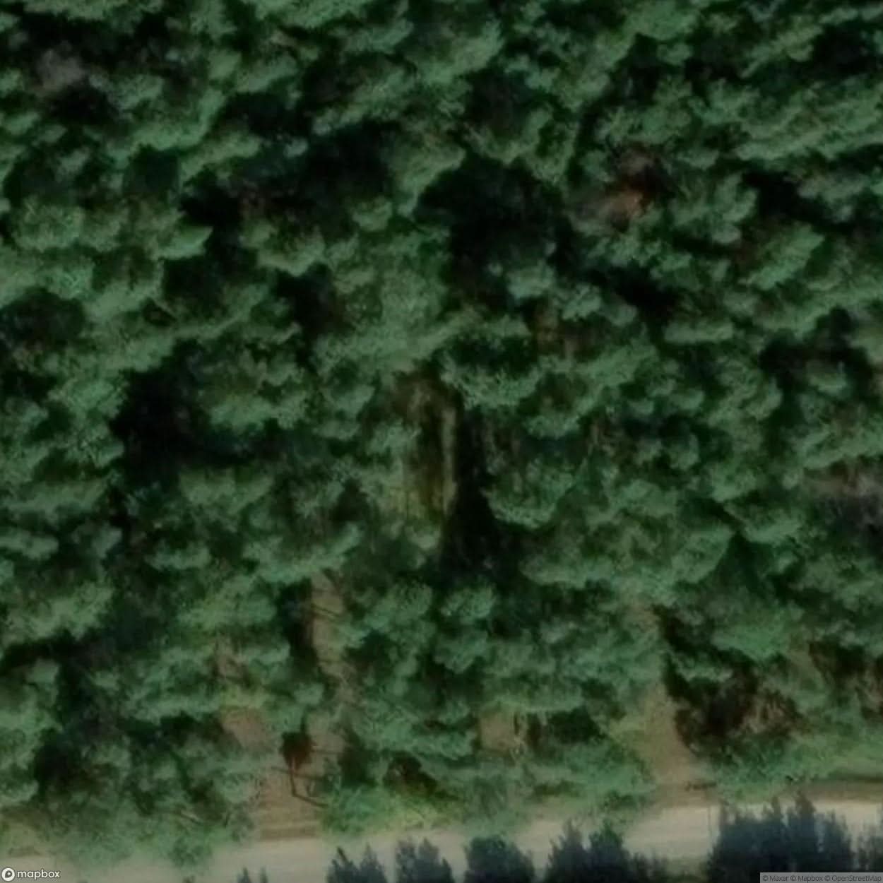 Biedrusko Polygon Site [POL] #33321