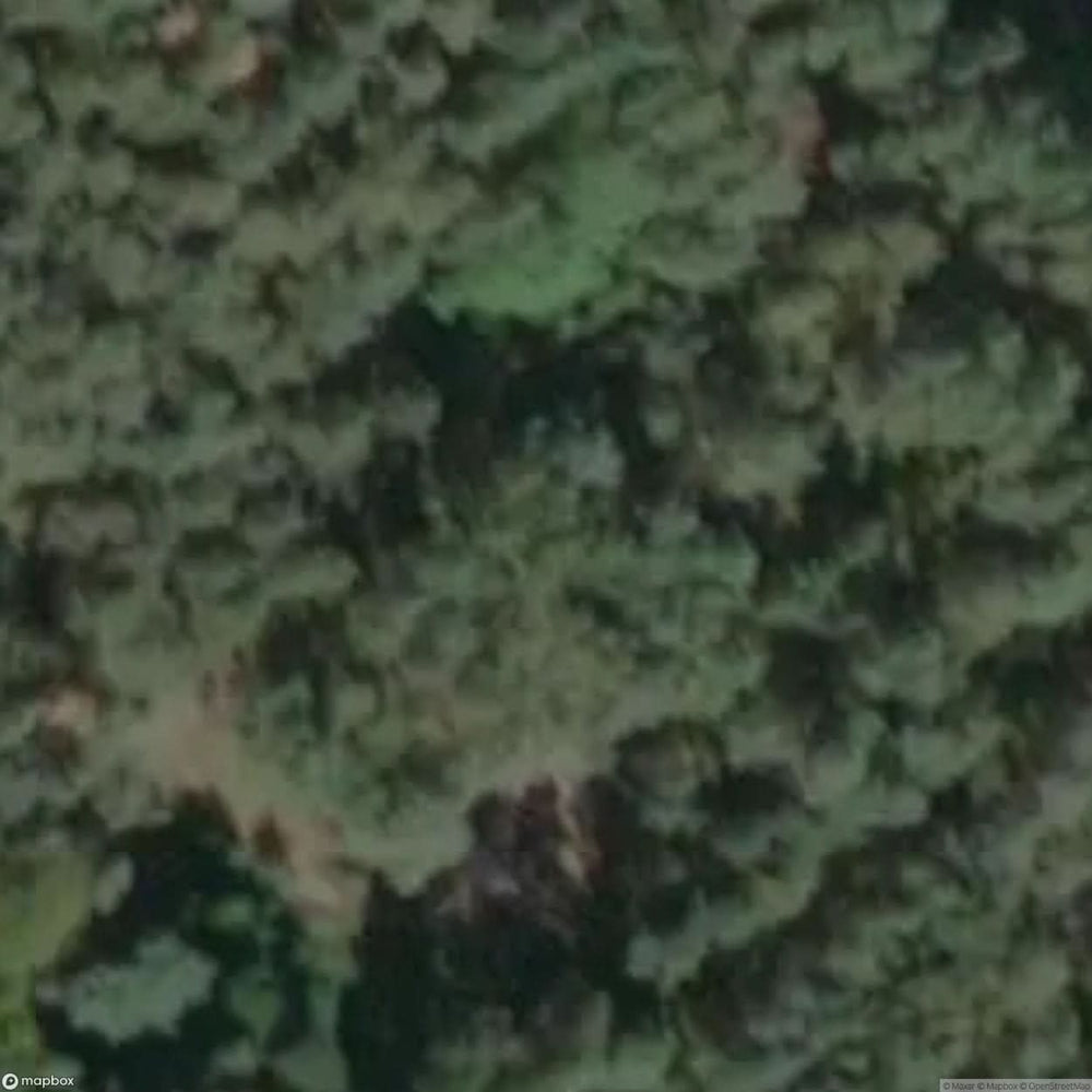 Rp Bunker [GER] #15642