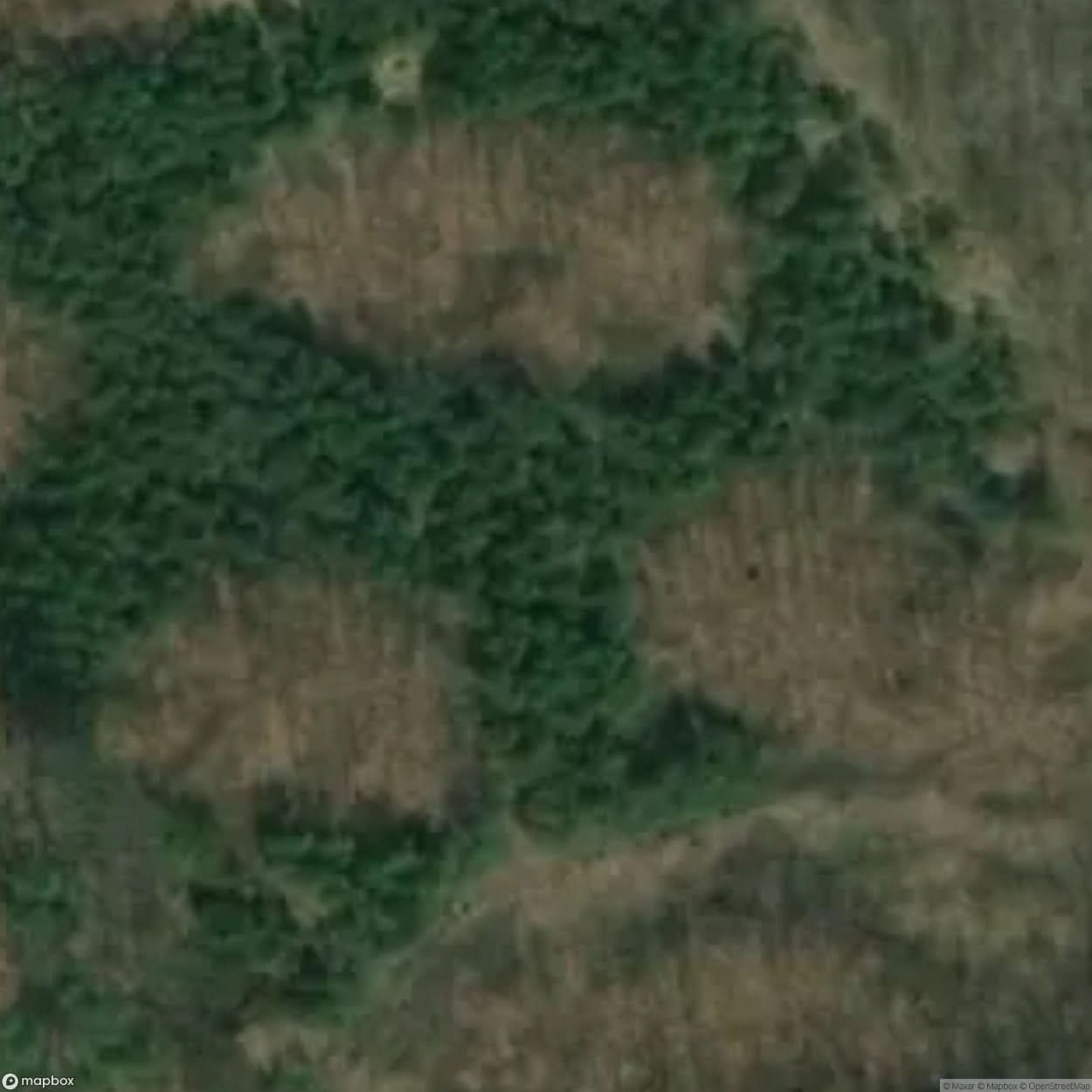 Kartoszyno Site [POL] #33162