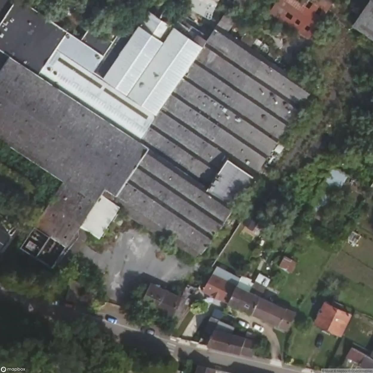 Curing Plant [FRA] #20252