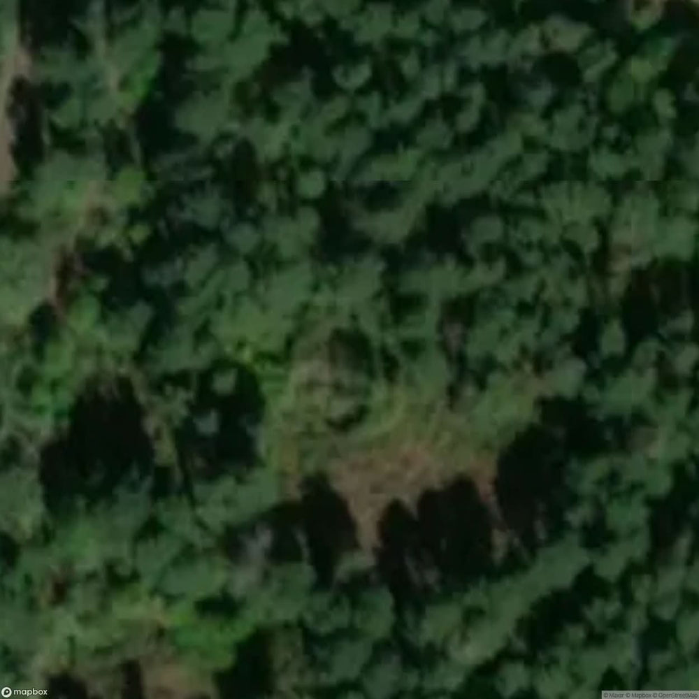 Nva Bunker [POL] #16703