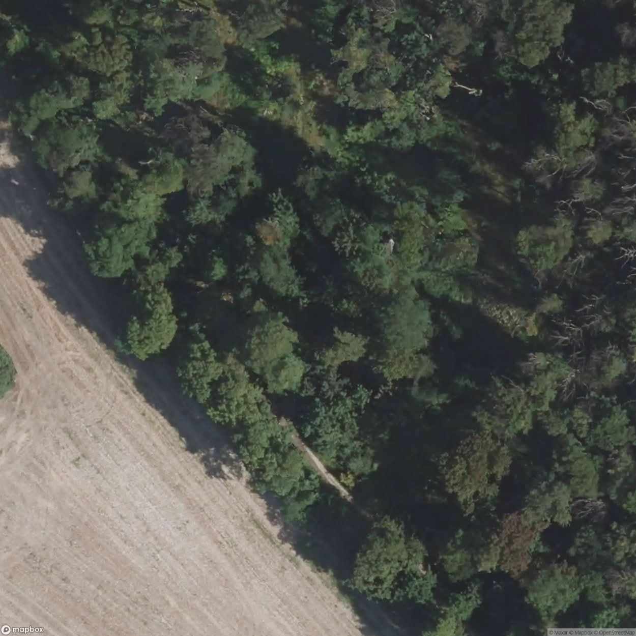 Forest Burial Grounds Halle [GER] #12124